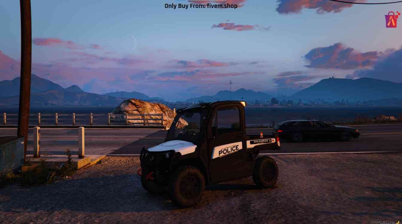 FiveM Police