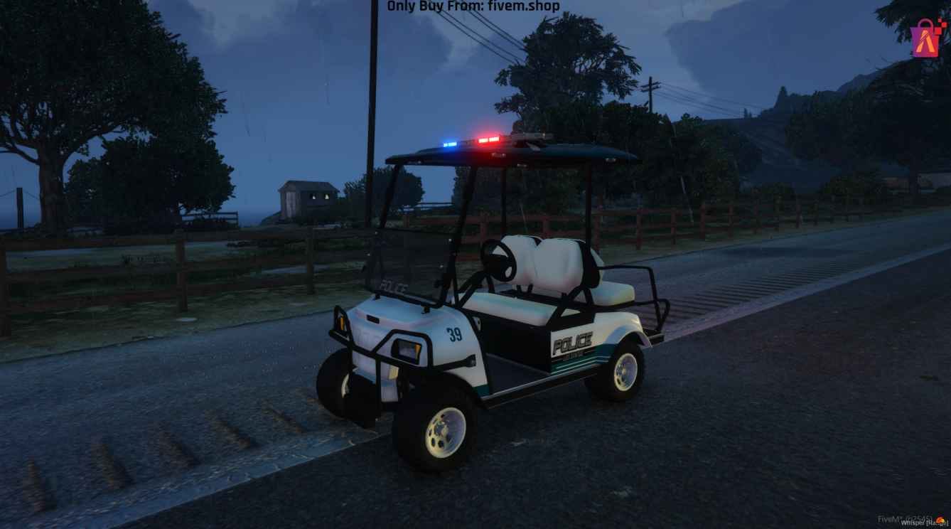 FiveM Police Car