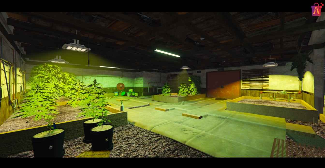 Weed Processing FiveM
