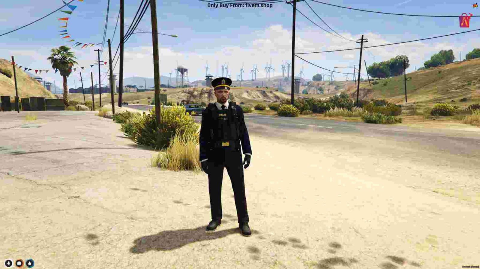 FiveM Police Packs
