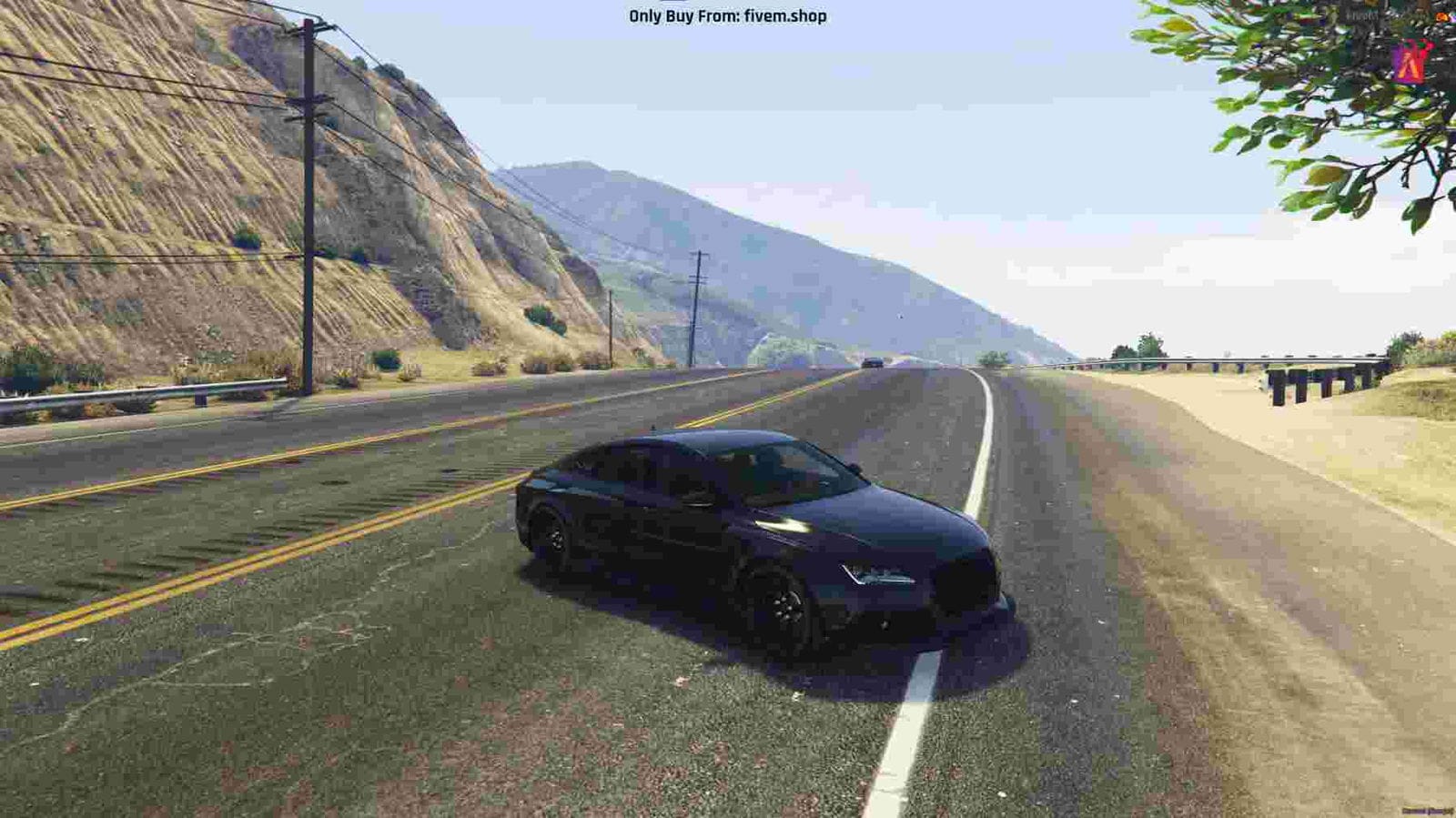 FiveM Non Branded Audi RS7 Car