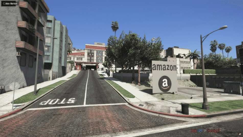 Fivem Amazon