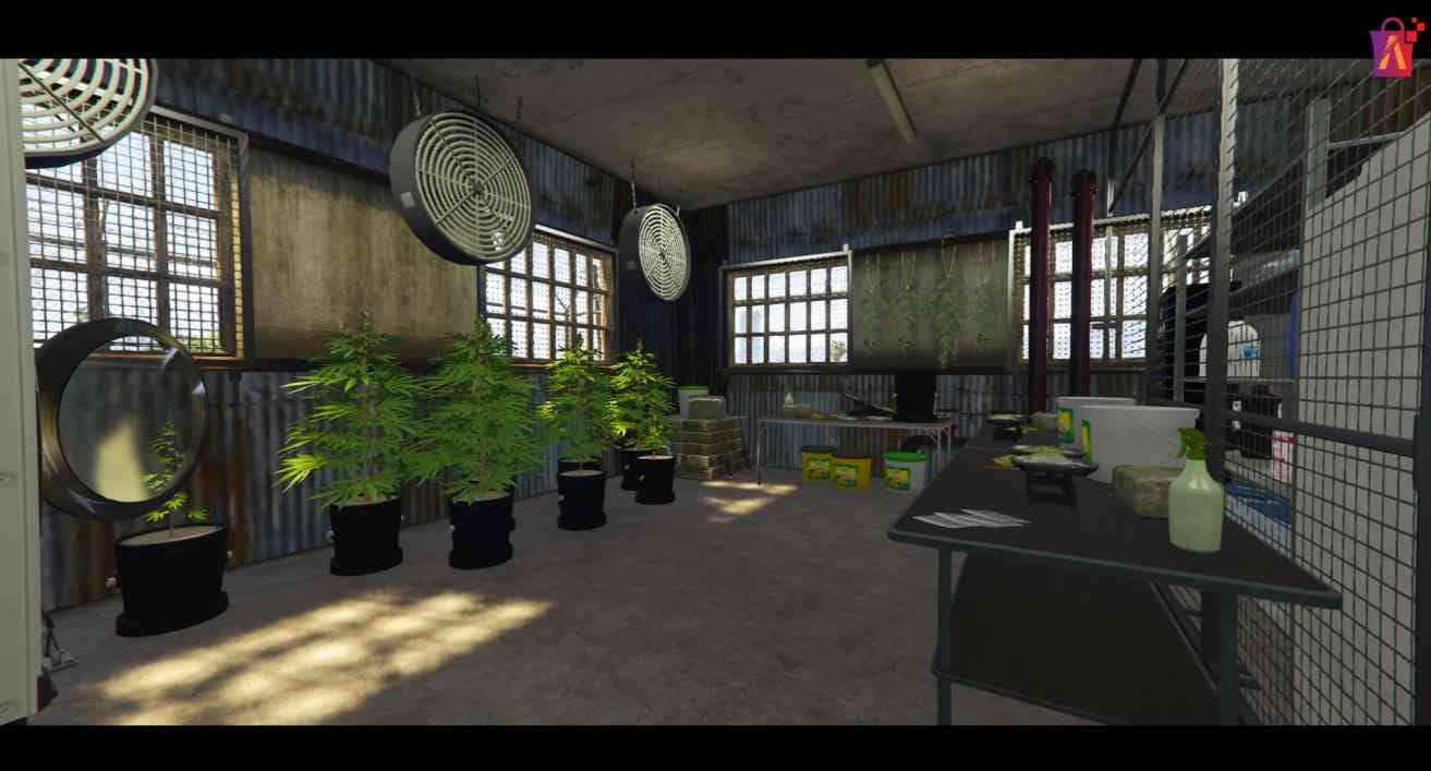 FiveM Illegal