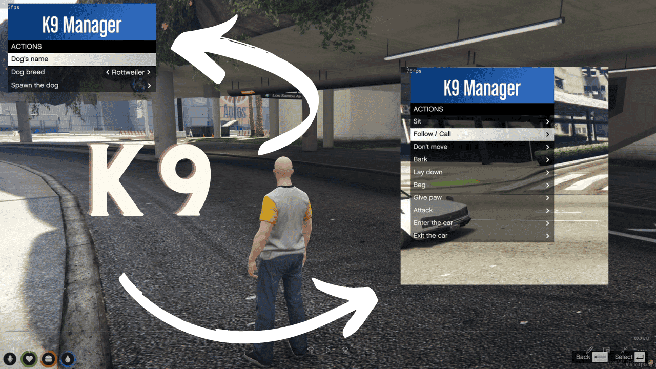 Esx K9
