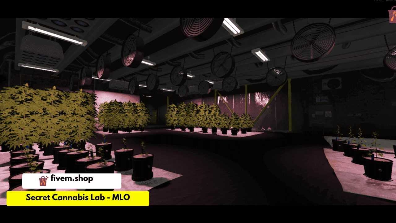 Secret Cannabis Lab FiveM MLO